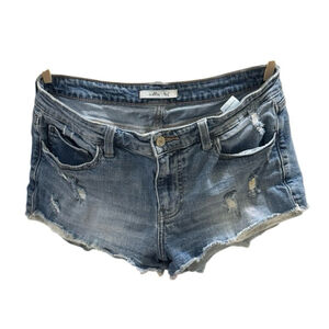 Willow Root Denim Distressed Shorts Size 30